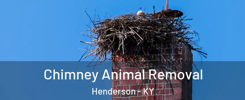 Chimney Animal Removal Henderson - KY