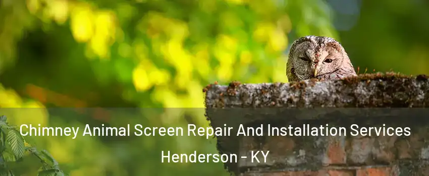  Chimney Animal Screen Repair And Installation Services Henderson - KY