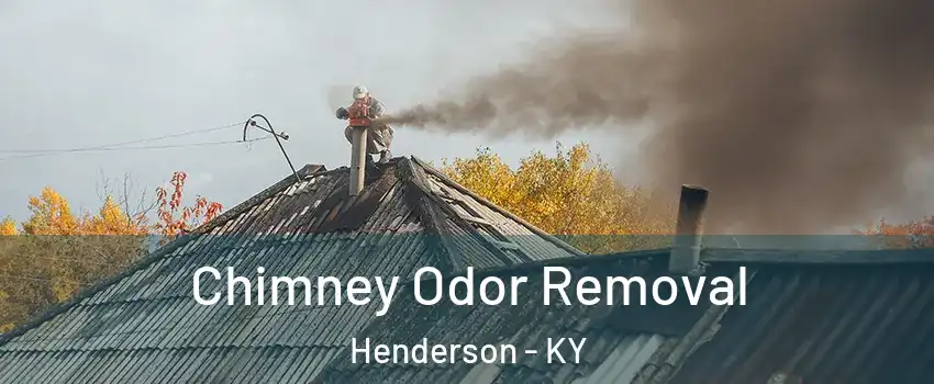  Chimney Odor Removal Henderson - KY