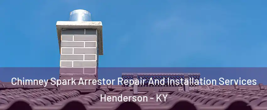  Chimney Spark Arrestor Repair And Installation Services Henderson - KY