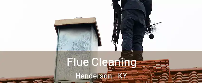  Flue Cleaning Henderson - KY