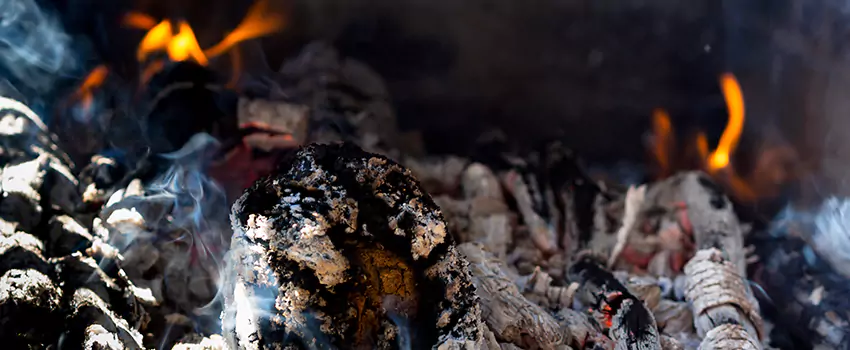 Creosote Removal Experts in Henderson, KY