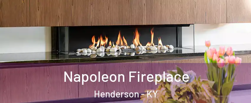  Napoleon Fireplace Henderson - KY